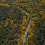 960px-3615554_تصاویر_هوایی_جاده_های_پاییزی_جنگل_های_هیرکانی
