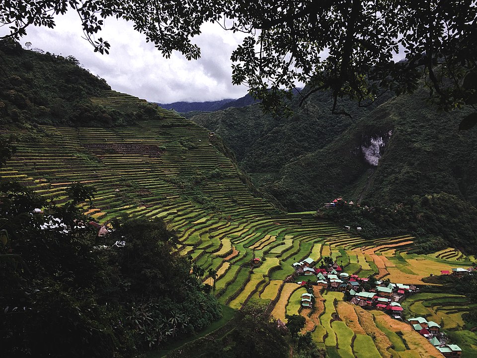 Review and Critique of UNESCO’s Fire Risk Management Guide