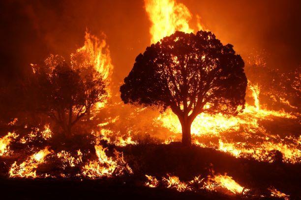 A Book on Megafires Risk to Natural Heritage