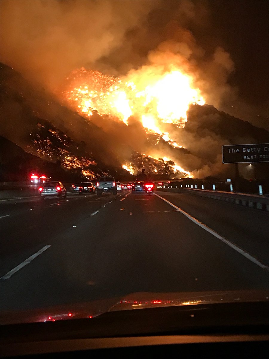 Vegetation Fires and Cultural Heritage: the Getty Museum Case