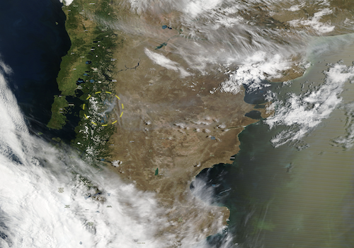 Natural Heritage Fire in Patagonian Forests